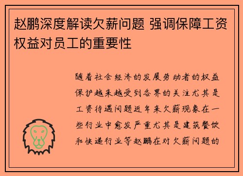 赵鹏深度解读欠薪问题 强调保障工资权益对员工的重要性